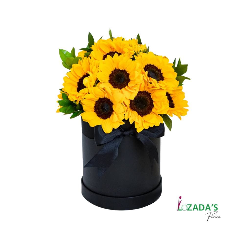 Caja Tambor de Girasoles 🌻🎁- Entrega hoy mismo en Santiago