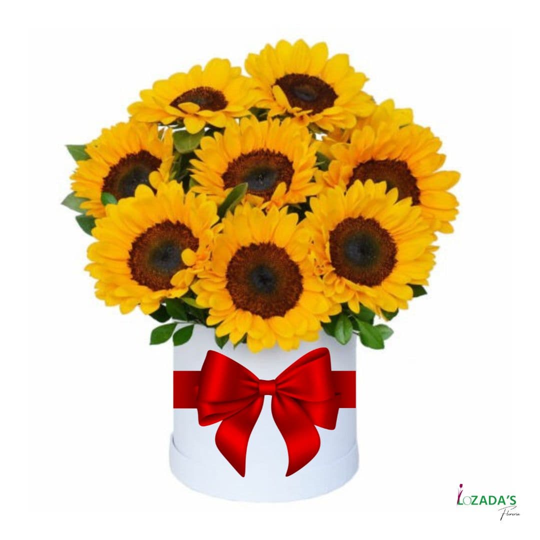 Caja de Girasoles – Energía y Luz en un Solo Regalo - Entrega hoy mismo en Santiago