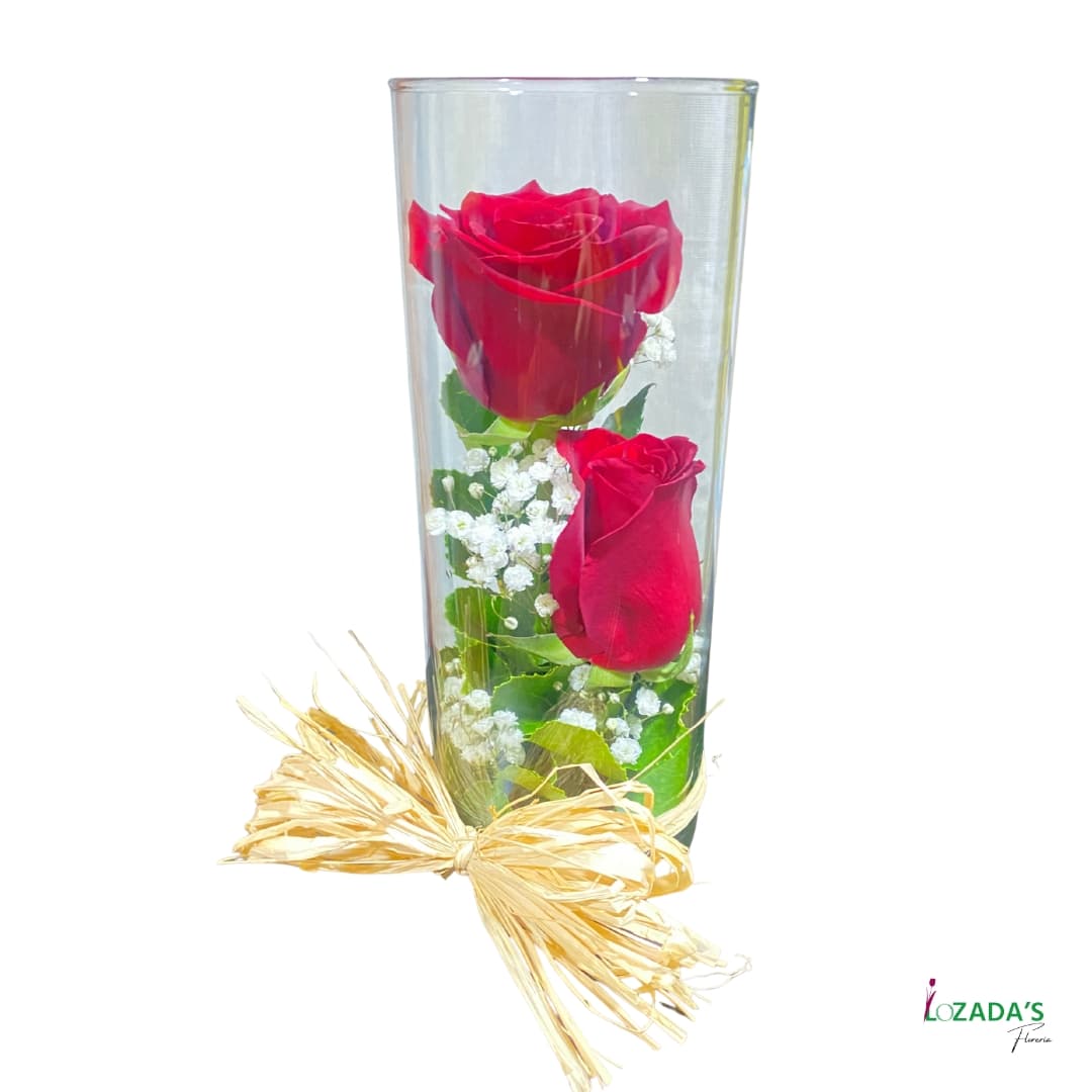 Dúo de Rosas en Cilindro de Cristal - Entrega hoy mismo en Santiago