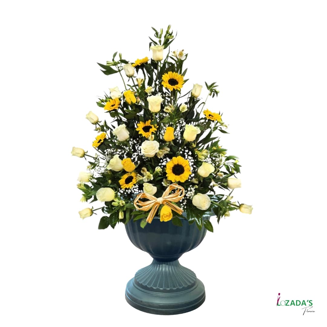 Copa con Girasoles y Rosas Blancas - Entrega hoy mismo en Santiago