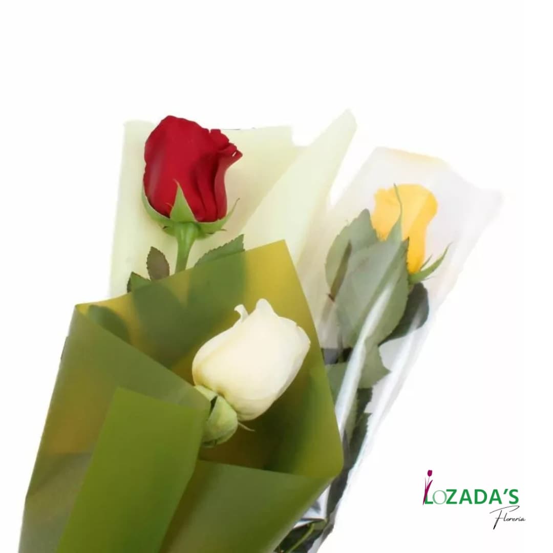Pack de Rosas Importadas (10, 15 o 20 unidades)🌹 Entrega hoy mismo en Santiago