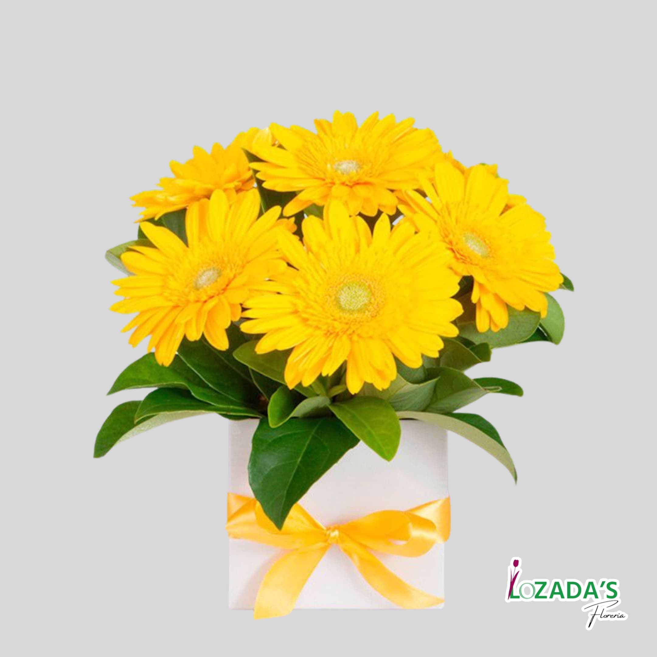 Ramo de Flores Amarillas - Caja con 6 Gerberas Amarillas - 21 de Septiembre