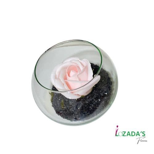 Rosa de Jabón en Pecera de Vidrio – Un Toque de Elegancia y Fragancia - Entrega hoy mismo en Santiago