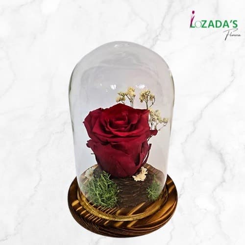 Rosa Preservada - Entrega hoy mismo en Santiago - – Elegancia que Dura