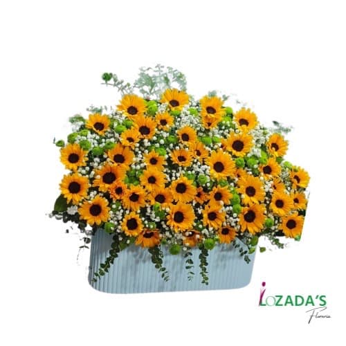 Arreglo de 50 Girasoles - Entrega hoy mismo en Santiago