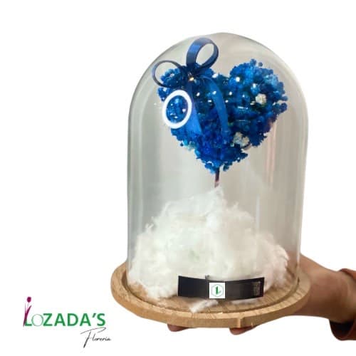 Corazón de Cielo en Domo - Entrega hoy mismo en Santiago