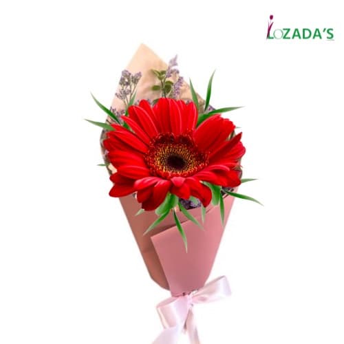 Gerbera en Armonía 🌸✨ - Entrega hoy mismo en Santiago - Toque de Elegancia: