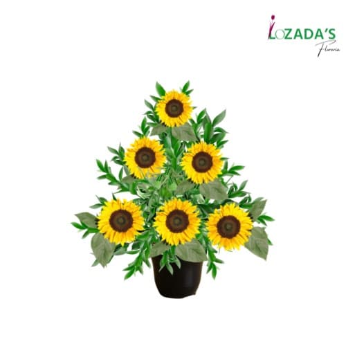 Arreglo de Girasoles y Verdes- Entrega hoy mismo en Santiago - Arreglo de Condolencias