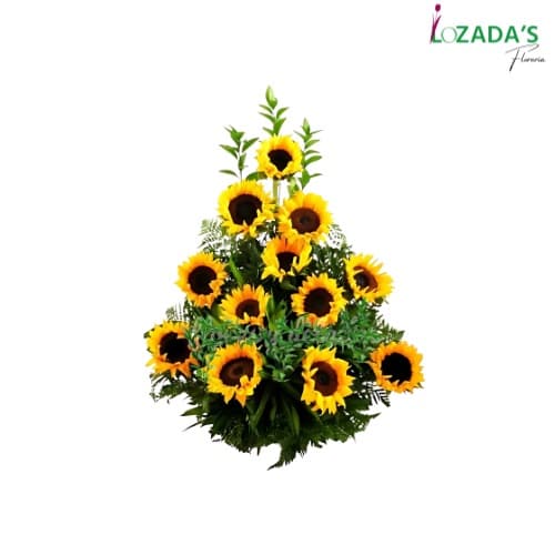 Arreglo de 12 Girasoles y Verdes- Entrega hoy mismo en Santiago - Arreglo de Condolencias