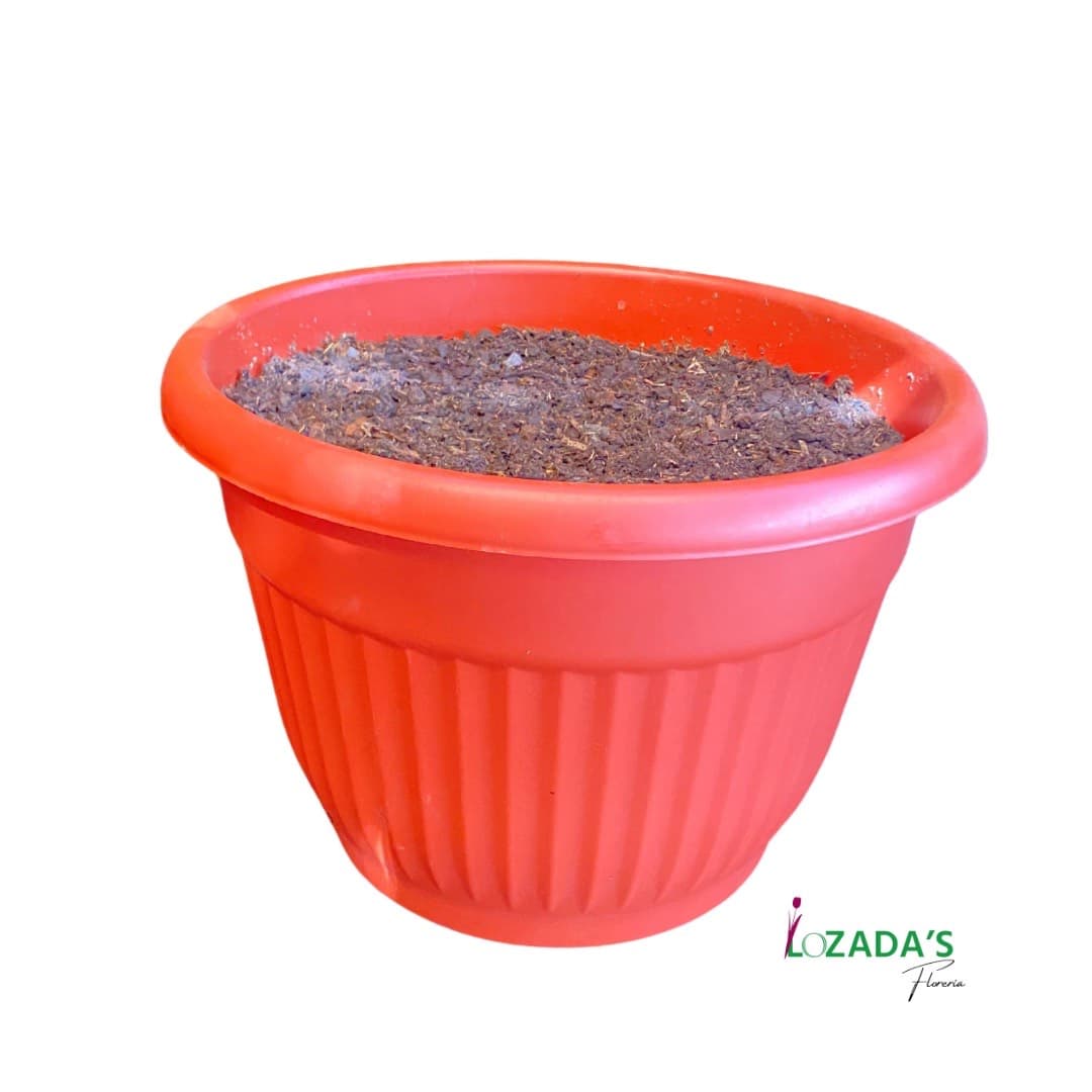 🪴 Macetero con Tierra de Hojas – Listo para Plantar