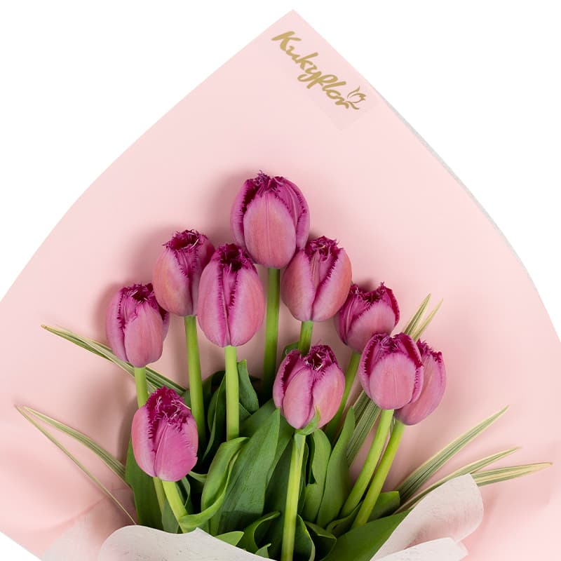 Tulipanes varios