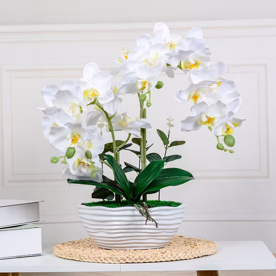 Arreglo Orquídea Blanca